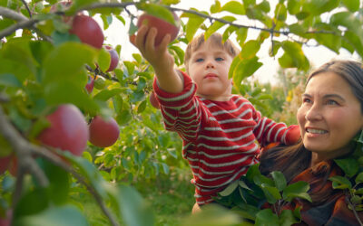 Apple picking tot with mom